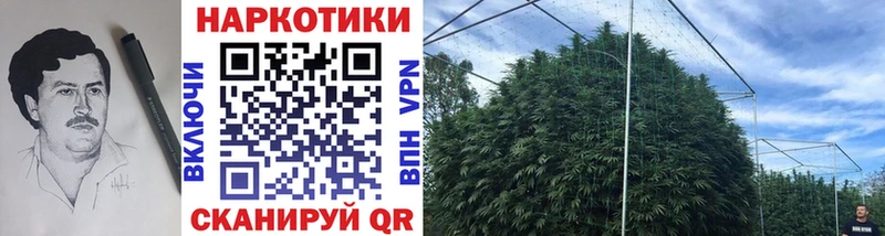 Купить закладку Фёдоровский Экстази  Мефедрон  Гашиш  Кокаин  АМФЕТАМИН 