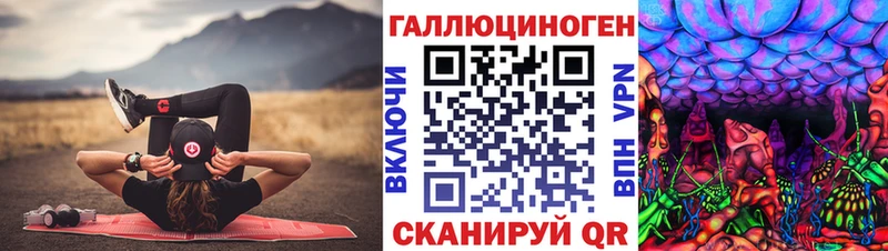 Псилоцибиновые грибы Psilocybe  Фёдоровский 